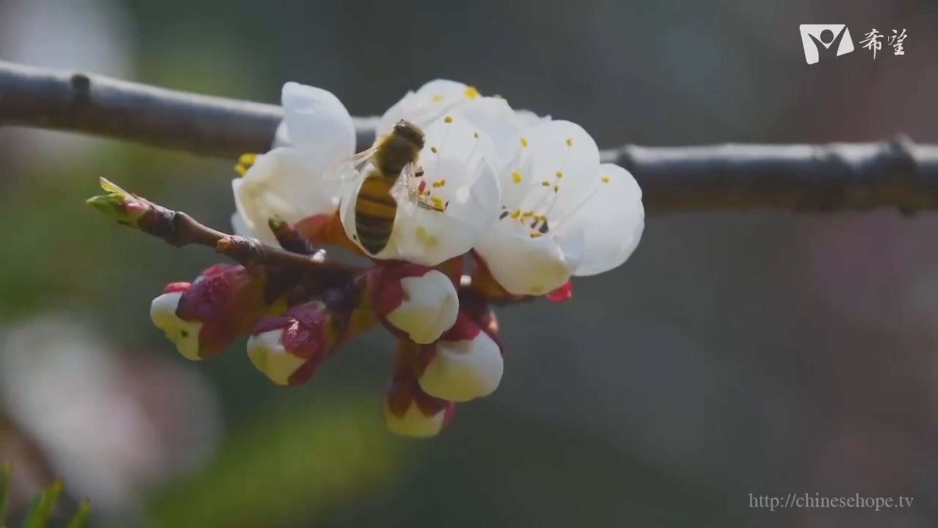 30.主恩似海