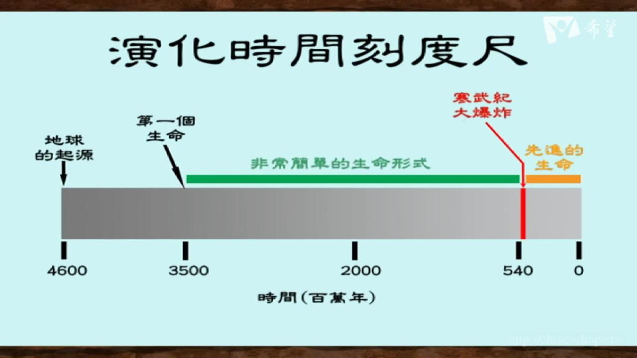 10.化石記錄與創造(三)