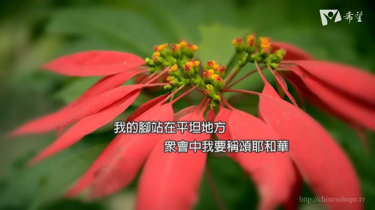 357.芳香紓壓(上)