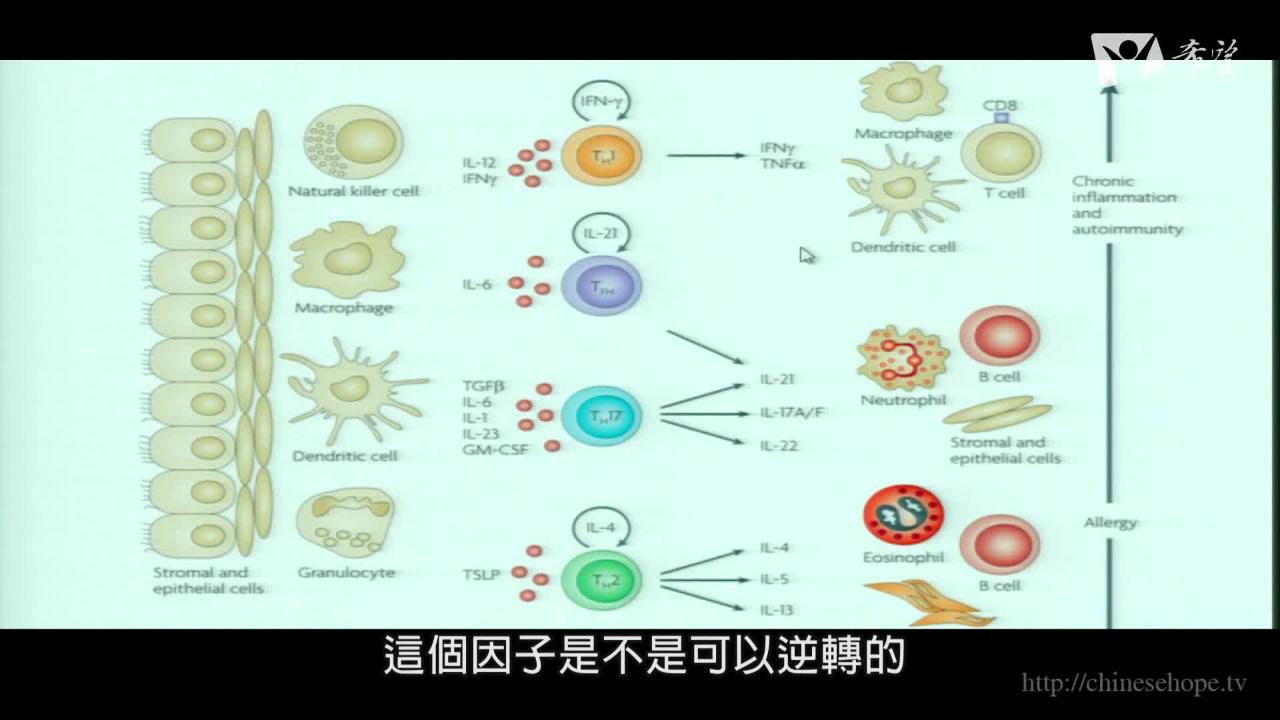 325. 都是基因惹的禍  (上)                                            